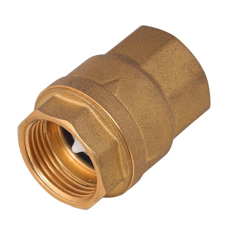 Vertical Check Valve