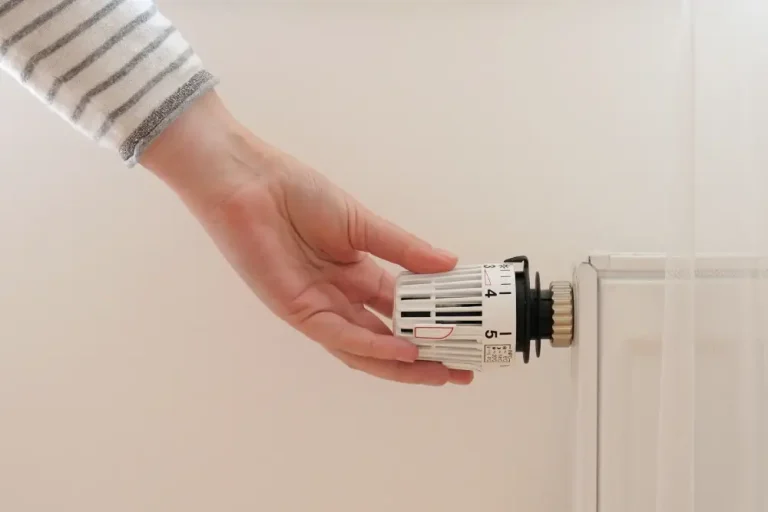 What is a Thermostatic Valve?