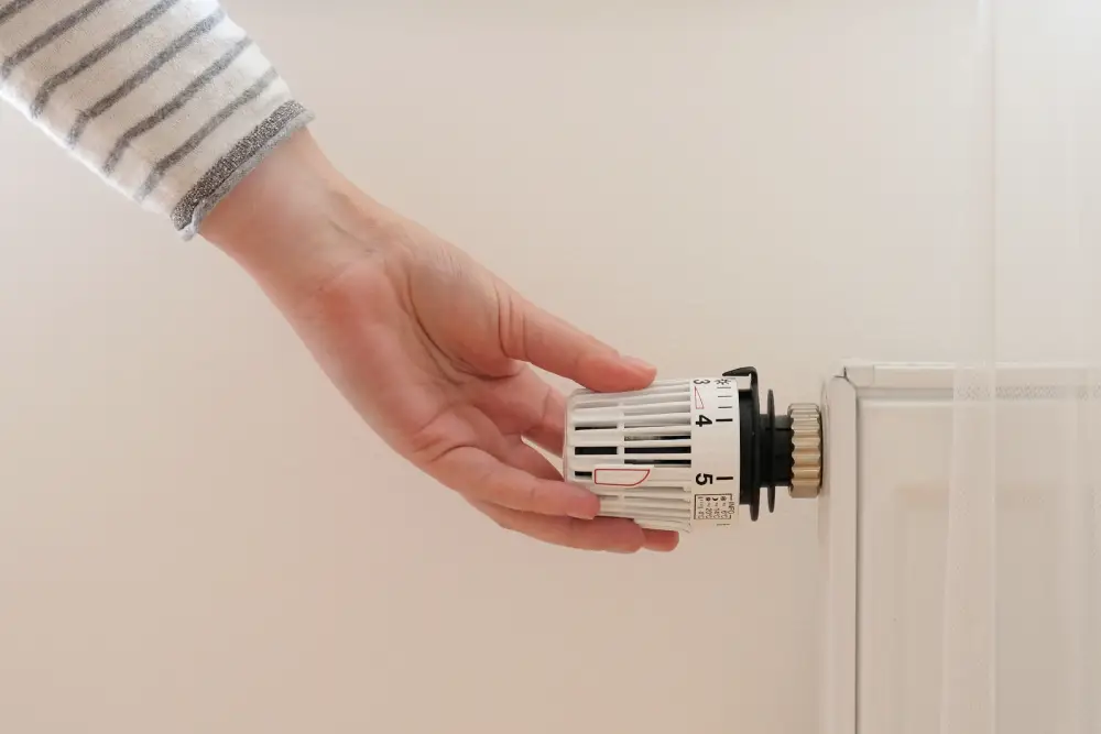 What is a Thermostatic Valve?